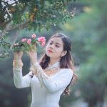 Hải Đường